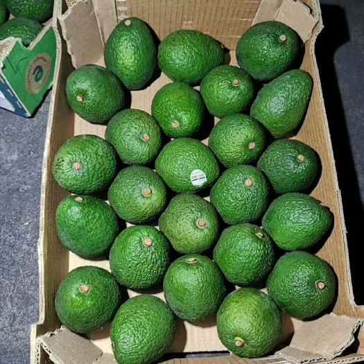 广州秘鲁牛油果，鄂梨新鲜自有货源大量供应