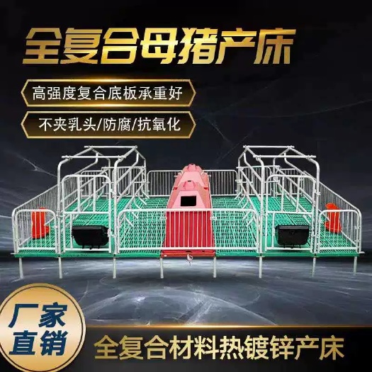 齐河县厂家直销双筋全复合双体单体母猪产床分娩床产床定位栏限位栏猪笼