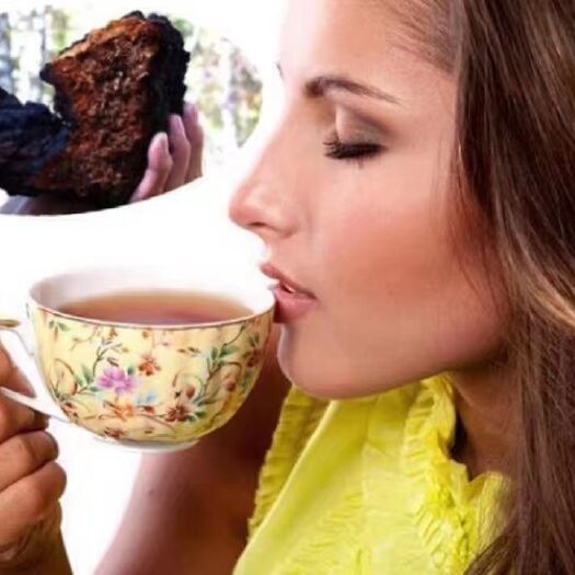 牡丹江 俄罗斯桦树茸浓缩液