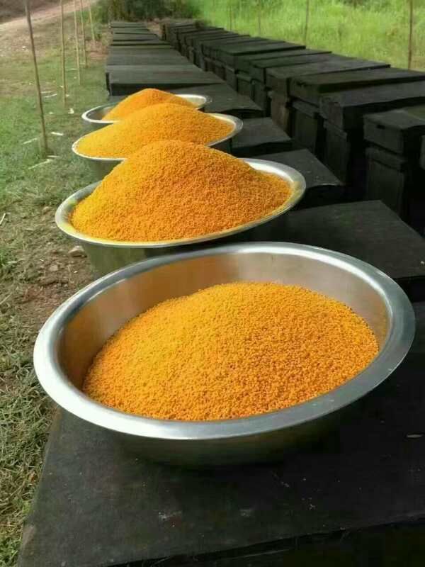 荷花粉  蜂花粉未破壁新鮮味道純正每瓶500克袋裝批零代發(fā)，