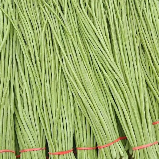 邯郸 精品长豆角      信誉第一