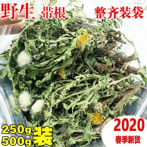 芮城县蒲公英茶 天然新鲜生野蒲公英整颗带跟