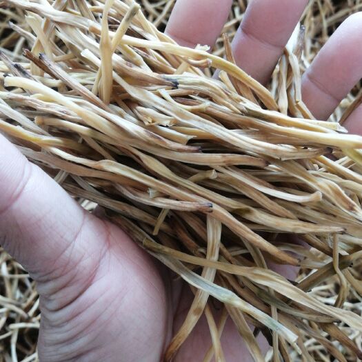 澄城县黄花菜干 陕西渭南黄花菜无硫，剂，农民自家种植晾晒的