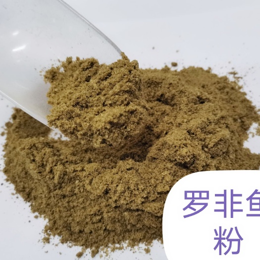 佛山饲料鱼