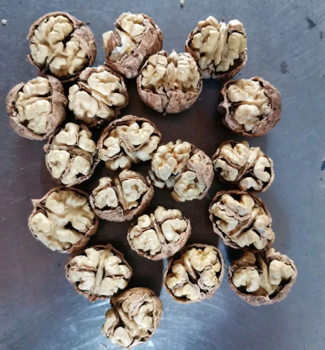  云南纸皮核桃干果零食坚果薄皮核桃新货核桃儿童坚果零食批发