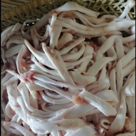佛山猪蹄筋 猪脚筋