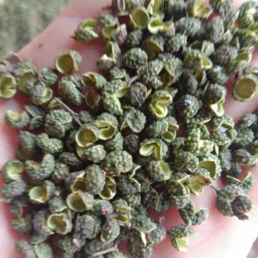 重庆市江津花椒 香麻全球