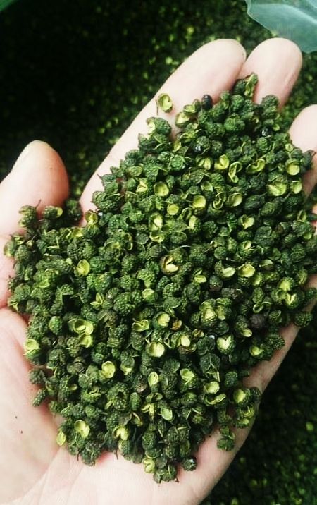 重庆市江津花椒 江津丫丫货