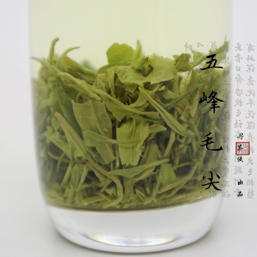 武汉茶青 全国各地名优茶叶。