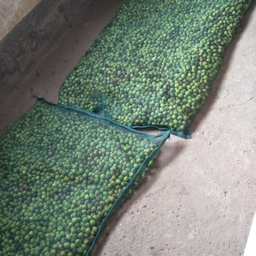 祁阳市百亩湘莲种植基地寻找收购商