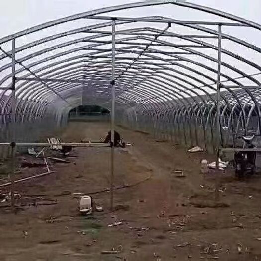 天津蔬菜大棚
