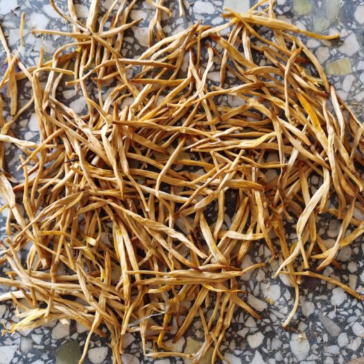 大荔县 黄花菜性平、味甘、微苦，归肝、脾、肾经；有清热利尿，消肿等