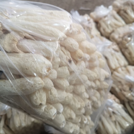 古田县竹荪蛋  古田县升丰食用菌专业合作社:优质竹荪球1斤装。