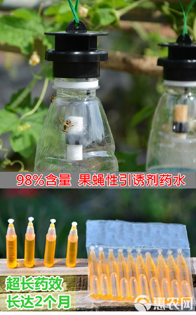  果蝇针蜂诱捕器果实蝇瓜果蔬菜花卉防虫诱虫性诱剂药水诱捕器