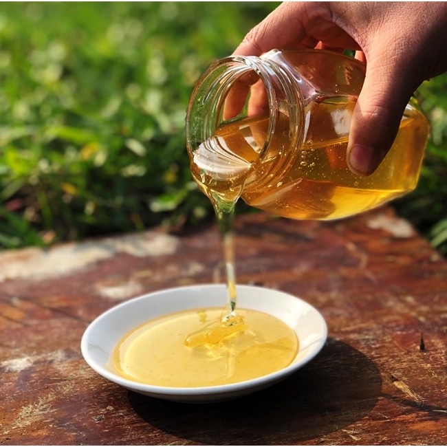 [野菊花蜜批發] 深山土蜂蜜百花蜂蜜雜花蜂蜜茶花土蜂蜜批發價格110元