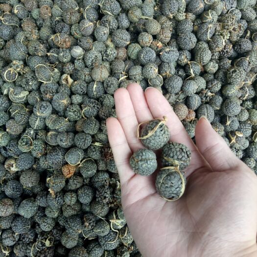 岑溪市草蔻  大草蒄，一级货品