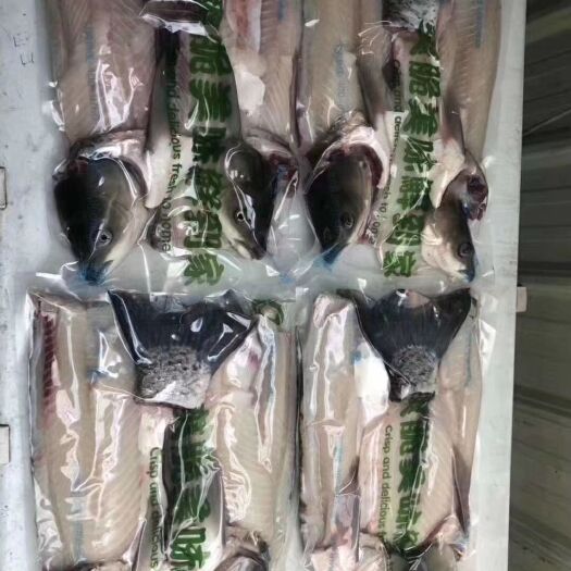 中山市脆肉罗非鱼  货仍是这个卖良心货，脆肉鲩和脆罗非，专卖良心产品，不做违良心
