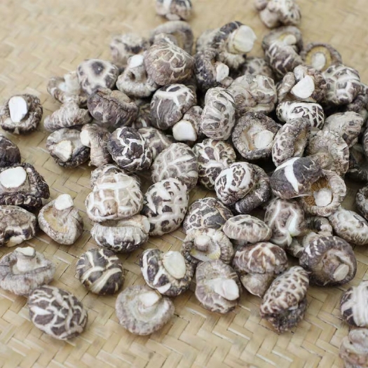 随县花菇  2021干香菇～原产地直销