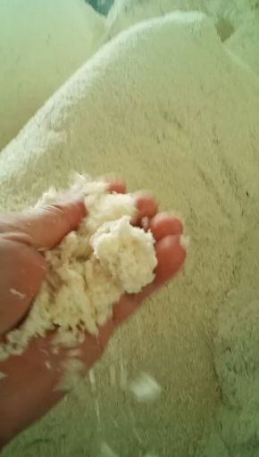 昆山市糟渣类饲料  豆腐渣  常年供应新鲜豆渣