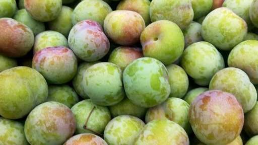  四川茵红李子半边红脱骨李子