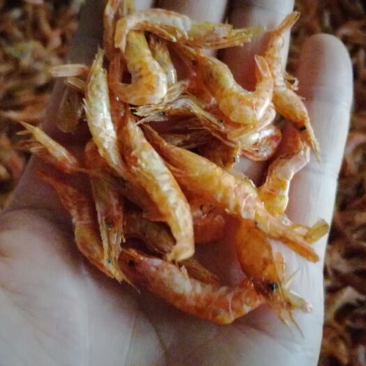 九江 大红虾干小红虾干河虾干
