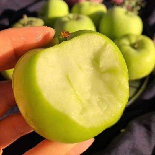 德昌县 黄桃