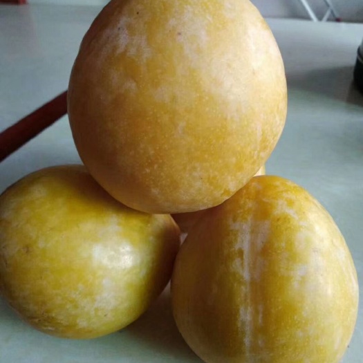 乐昌市 九峰黄金奈李