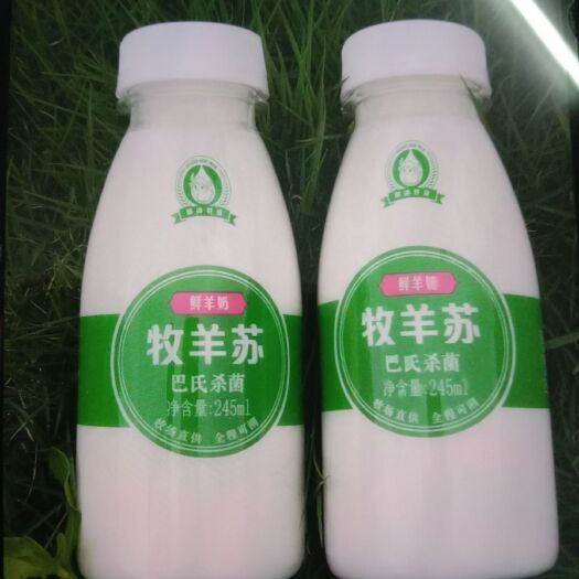 湘乡市 牧羊苏羊奶