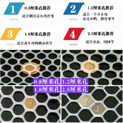 安平县漏粪板  加厚整卷塑料平网养殖网塑胶网格网孔脚垫养鸡鸭鹅育雏漏粪养蜂网