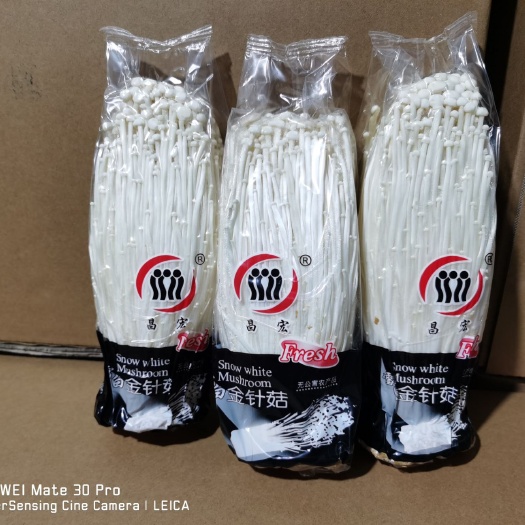 白金针菇  金针菇 商超专用