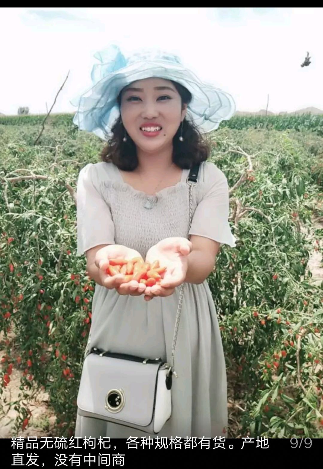 红枸杞(无硫)