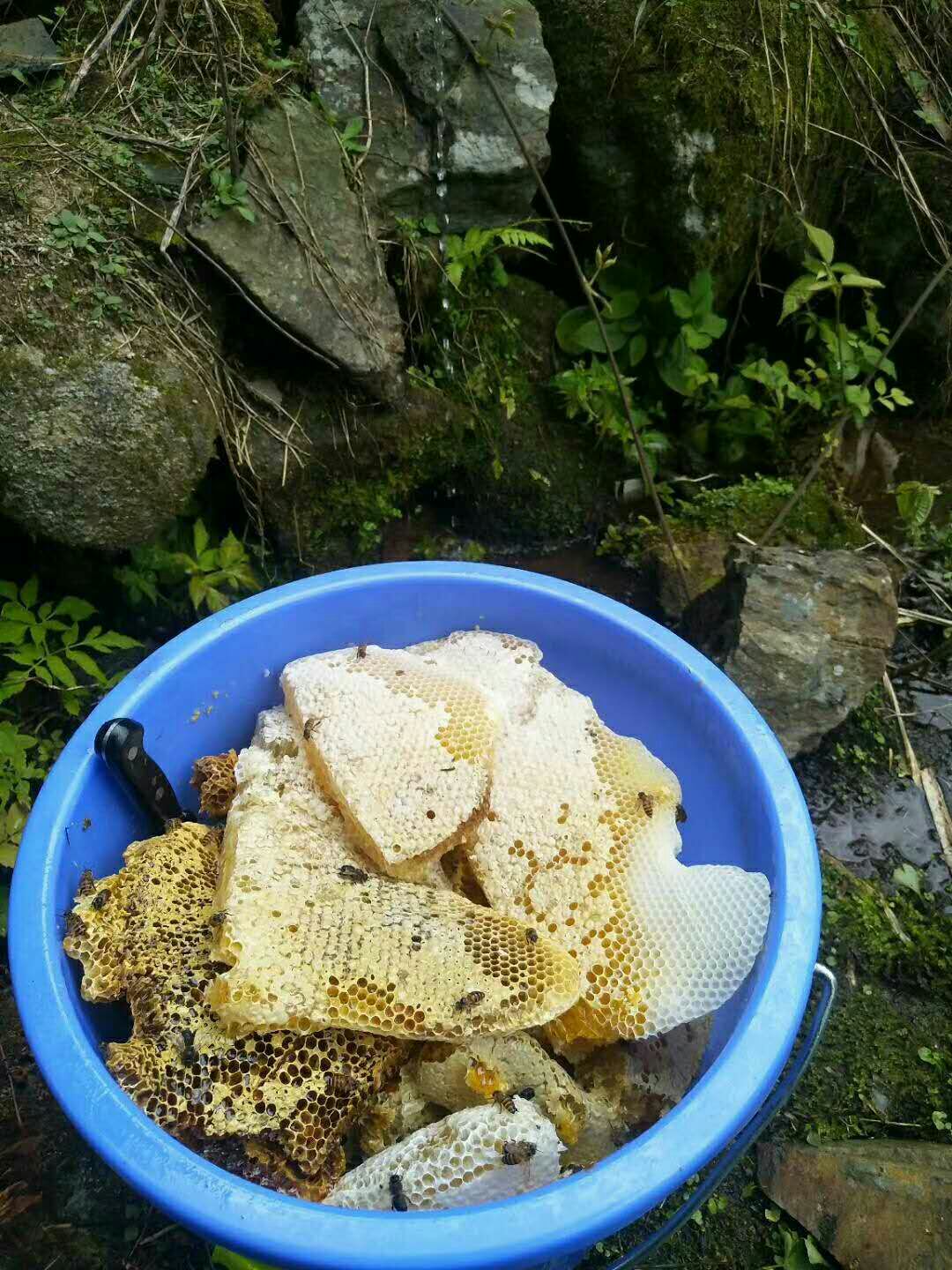  大山里土蜂蜜，天然蜂蜜，货真价实