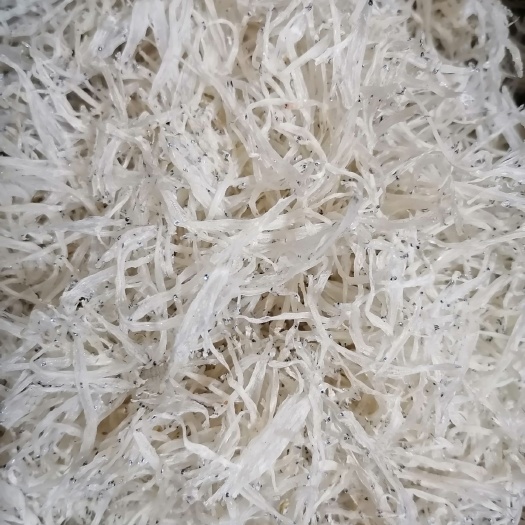 九江 鄱阳湖银鱼干. 淡水鱼干，小银鱼，大银鱼