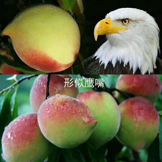 昆明鹰嘴蜜桃  云南鹰嘴桃，桃香味十足，外形如鹰桃，红心❤️