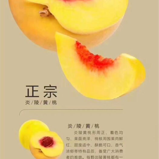 炎陵县 炎陵锦绣黄桃