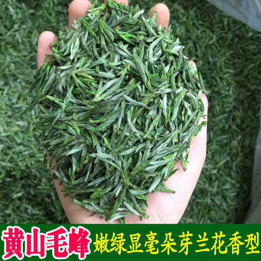 黄山毛峰茶 2025 新茶安徽黄山毛峰绿茶高山绿茶现货包邮