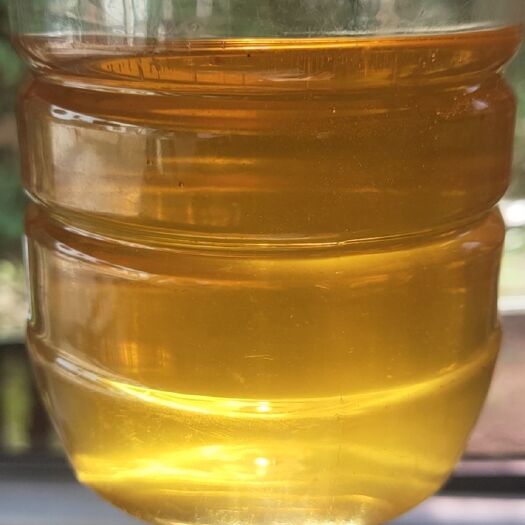 沁水县 意蜂蜜