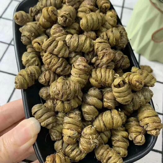 文山市 铁皮石斛