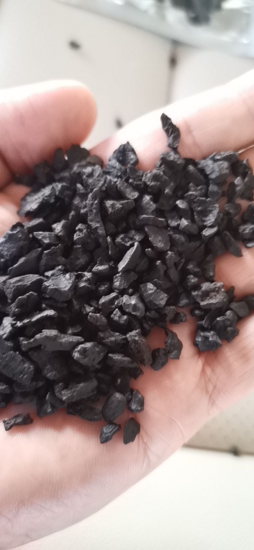 白桦茸  桦树茸黑金颗粒