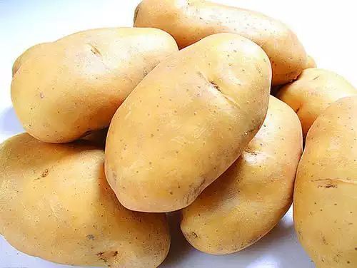 围场县 大量出售各个品种土豆