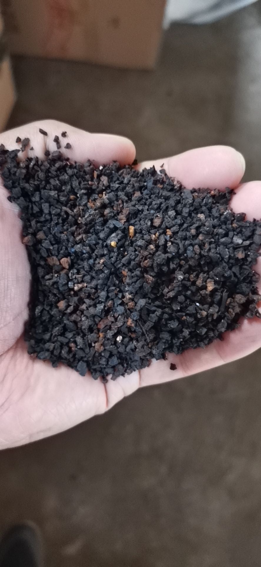白桦茸  桦树茸黑金颗粒