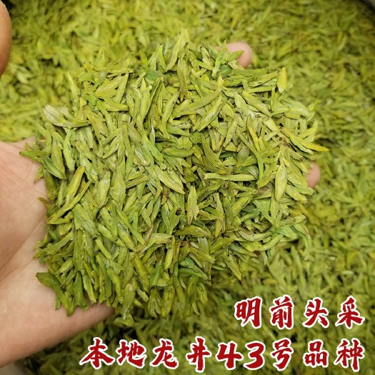 龙井茶 浙江龙井绿茶43号茶叶自家茶园