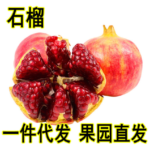 会理市突尼斯软籽石榴 0.6 - 0.8斤