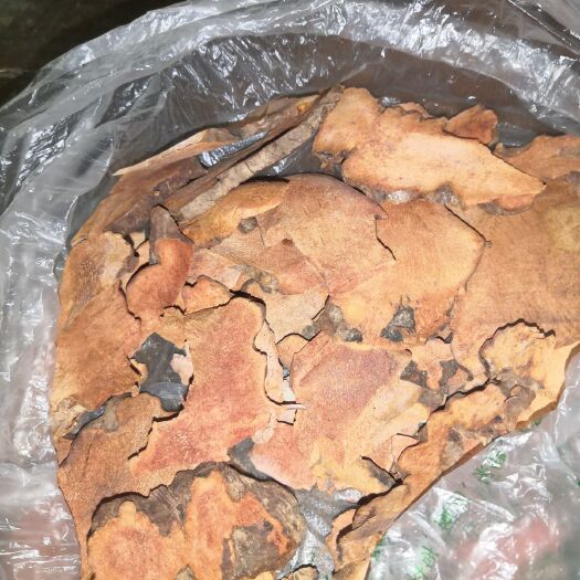 景谷县云南红肉土茯苓