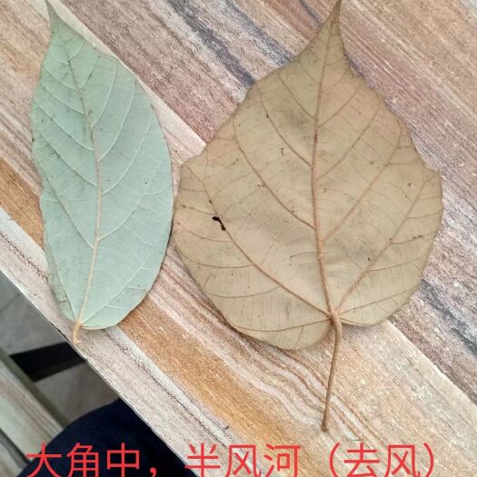 平南县半枫荷 调理骨痛药