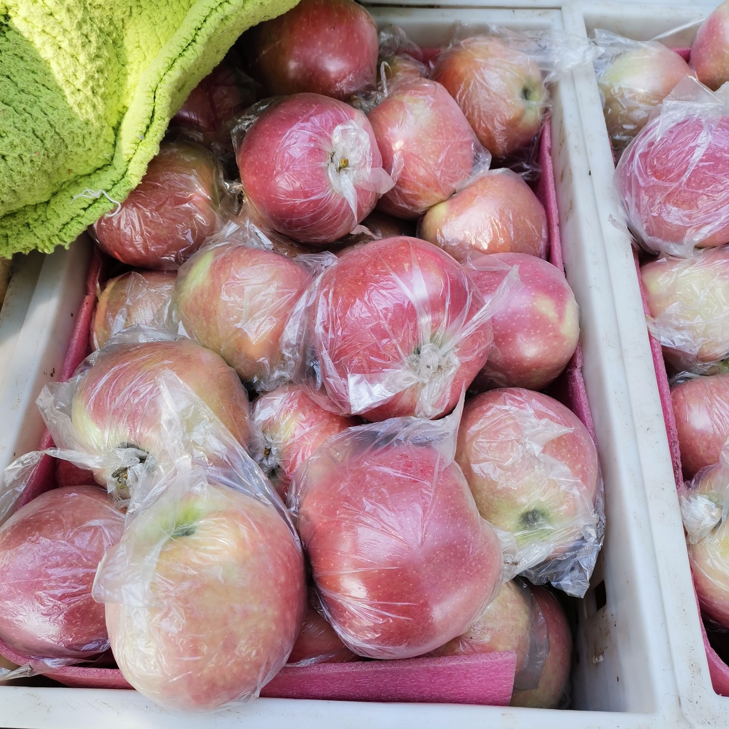 虞城县美八苹果  精品红富士苹果，冰糖心苹果，产地直销，新鲜采摘