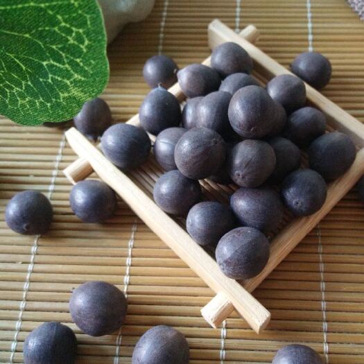 南丰县 自己家里的铁莲白莲铁莲子