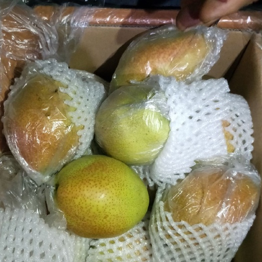 赵县红香酥梨 河北红香酥 产地直销 口感好 量大 质优