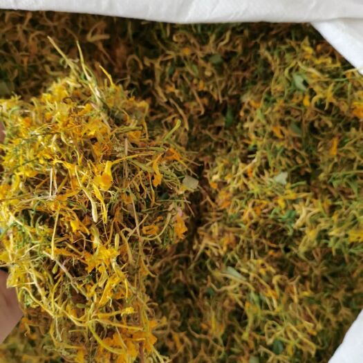 隆回县山银花  手选五彩花，价格美丽，欢迎下单！