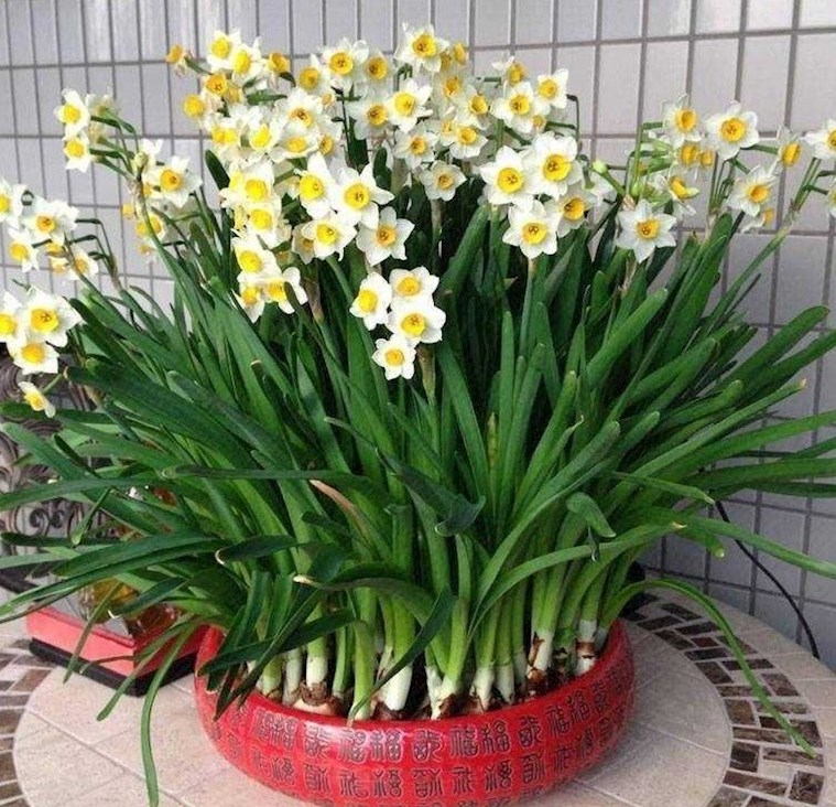 水仙花 楽天市場】[最短出荷]日本水仙【造花】4輪付 全長約34cm(花径約